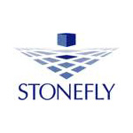 stonefly